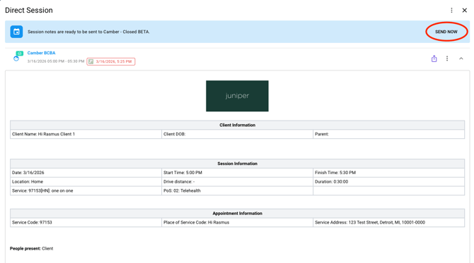 Screenshot 2026-03-17 at 4.29.31 PM